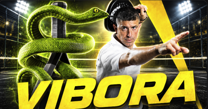 Vibora