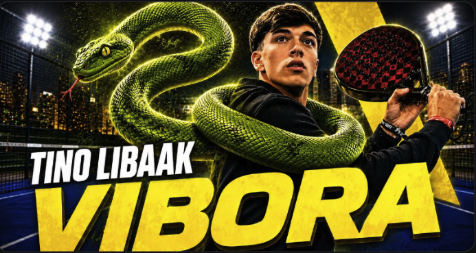Vibora 2